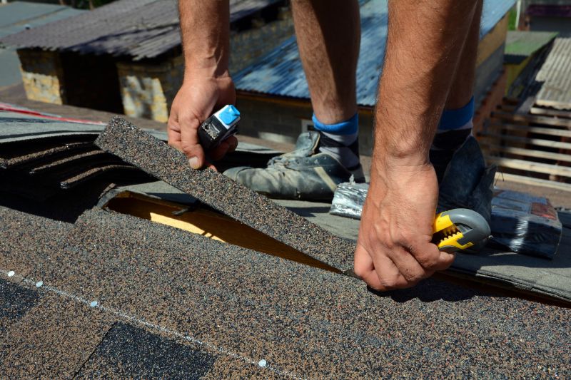 Asphalt Roof Repair