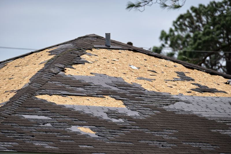 Roof Damage Restoration