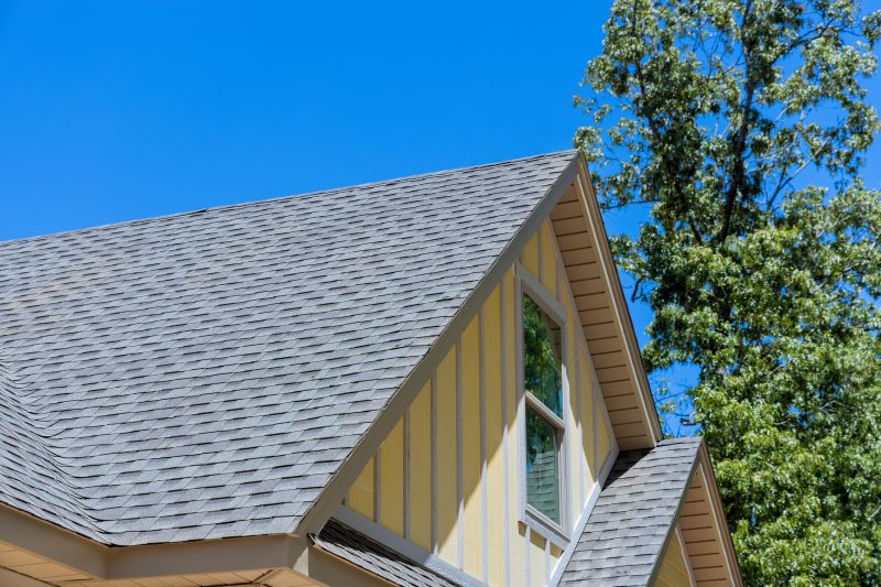 Roof Service